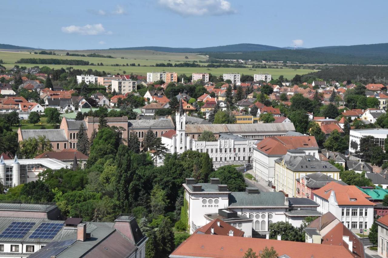 Panorama View Family Apartment Veszprem Ngoại thất bức ảnh